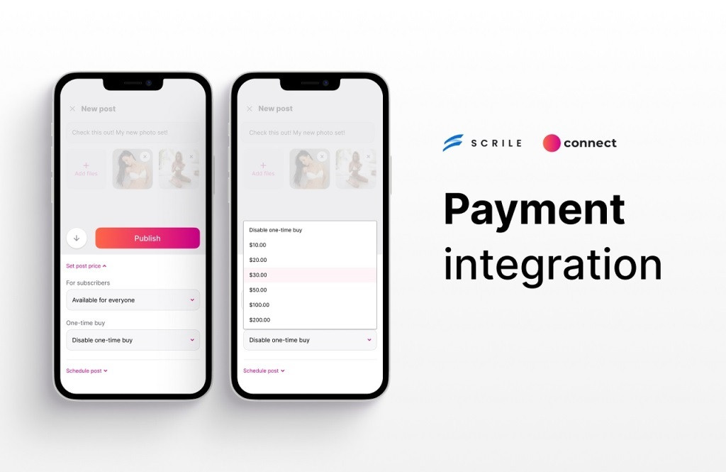wordpress cryptocurrency plugins with Scrile Connect